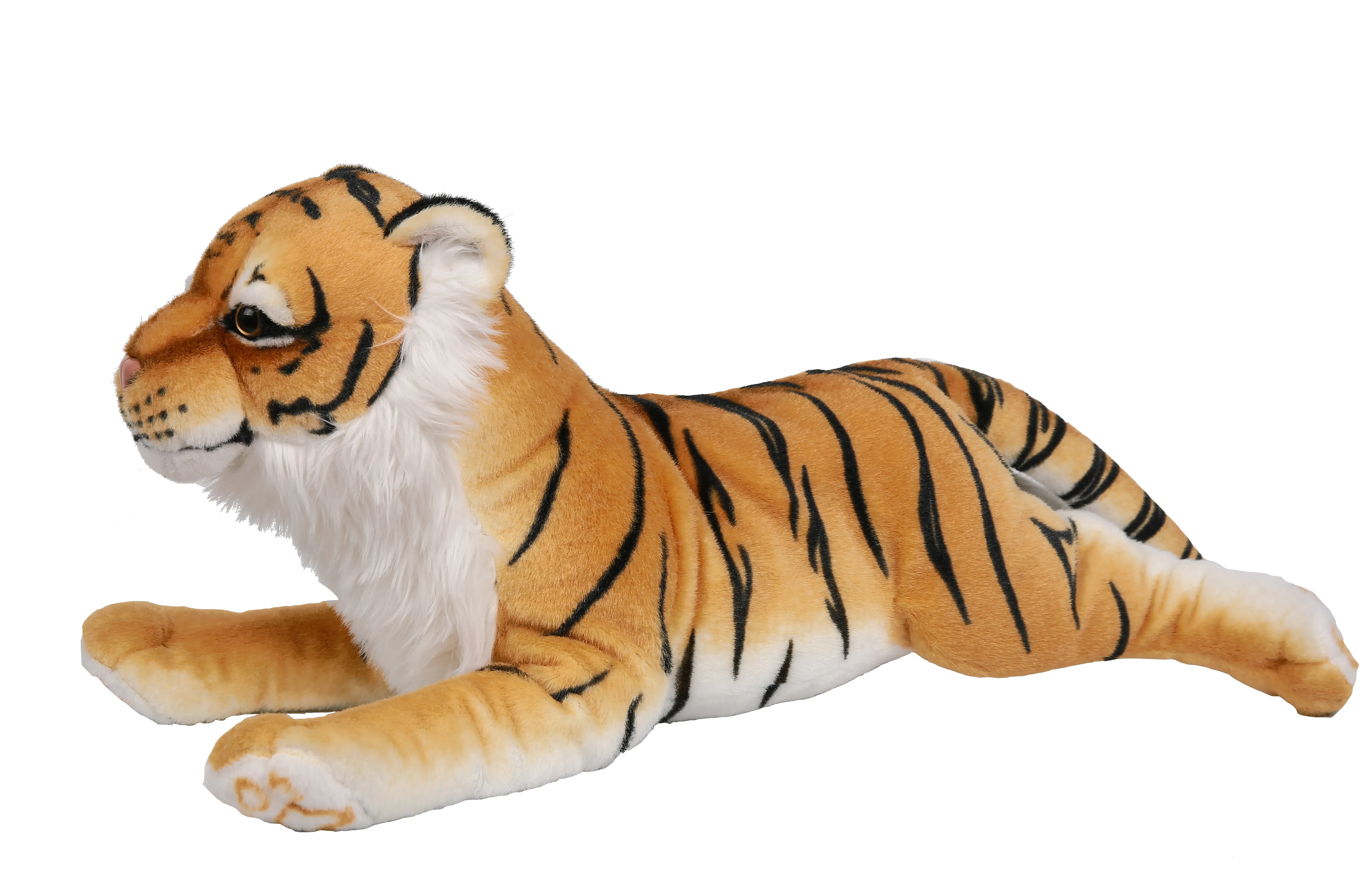 Laying Jungle Cats 1