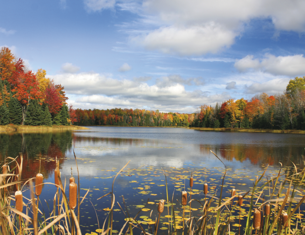 Good Value™ Landscapes of America - Stapled Calendar 28
