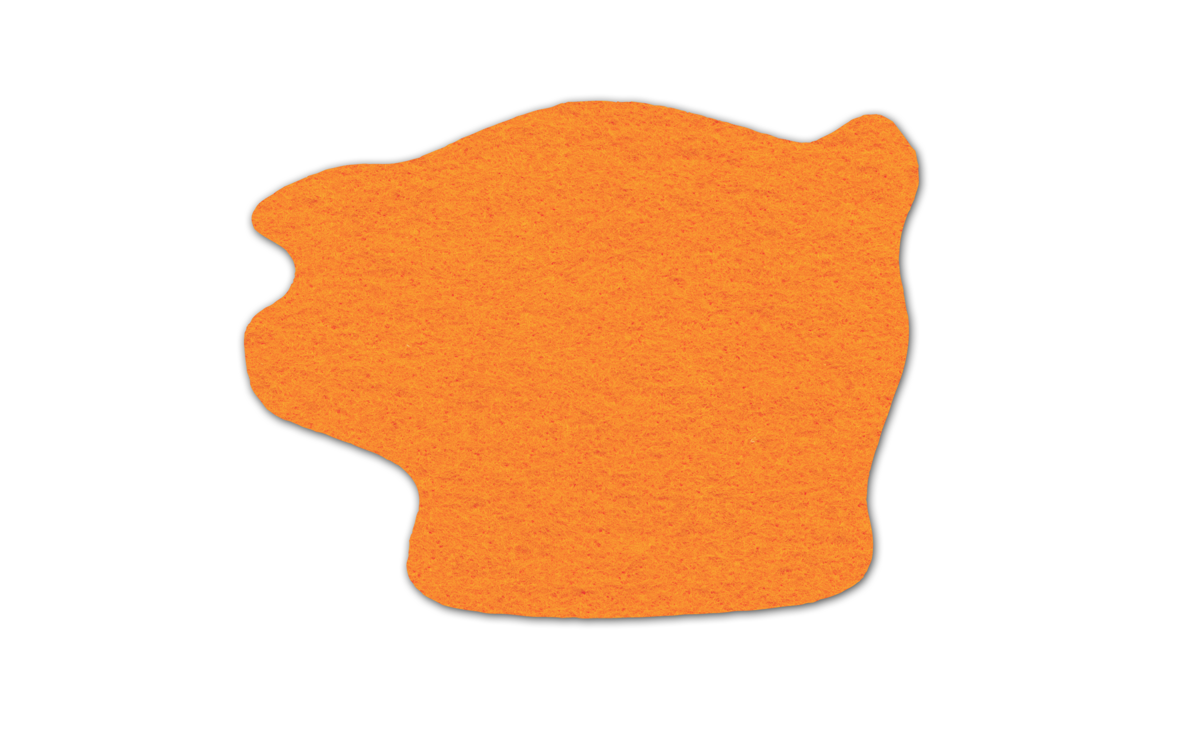 Piggy Bank Shammy Coaster 4