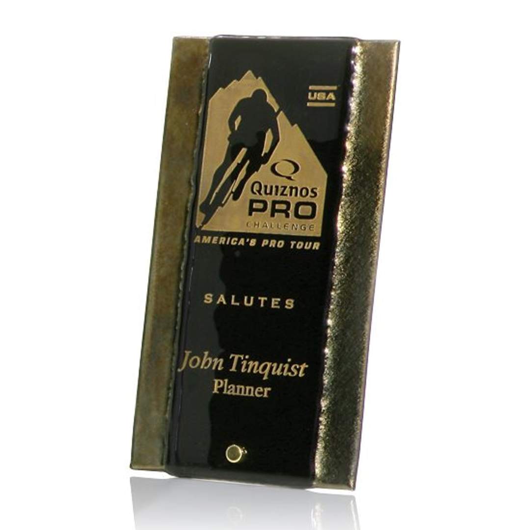 Gold Fusion with Peg Award 4