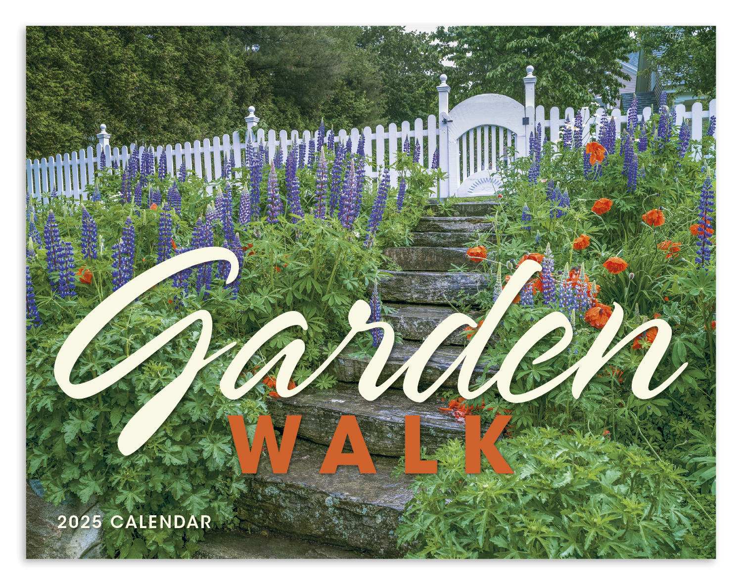 Good Value™ Garden Walk - Window Calendar 7
