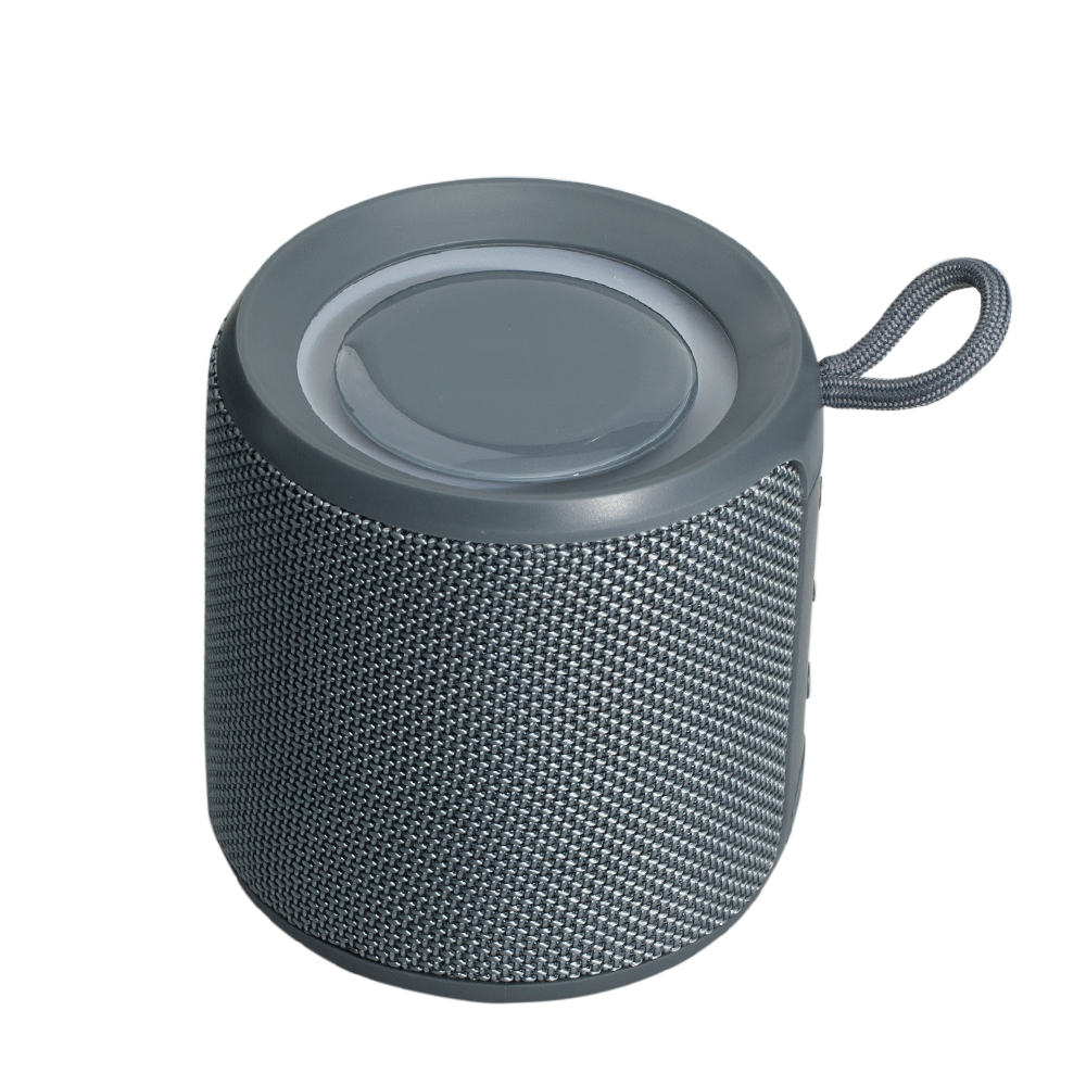 Elysian IPX6 LED Speaker