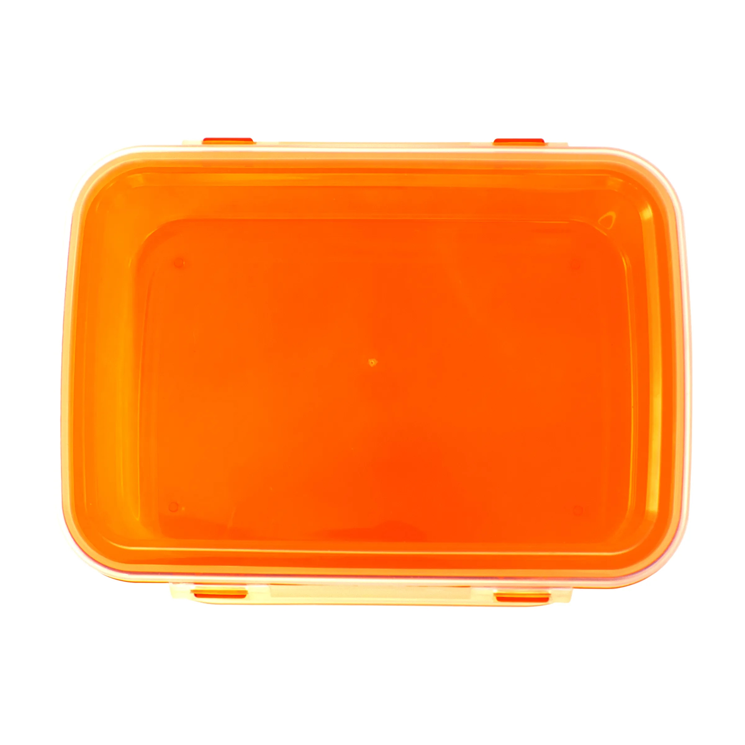 Full Color Clip Top Lunch Container 4