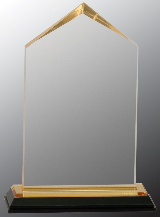 Impress Jewel Acrylic Award 1