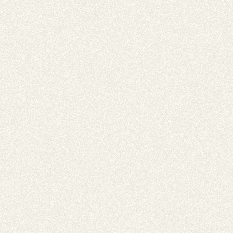 24-hr Quick Ship Plain Economy Folders 38