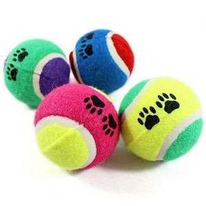 Pet Tennis Ball 1