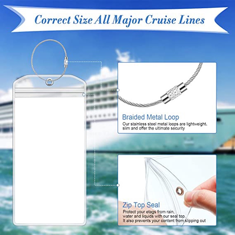 Clear Luggage Tag 8