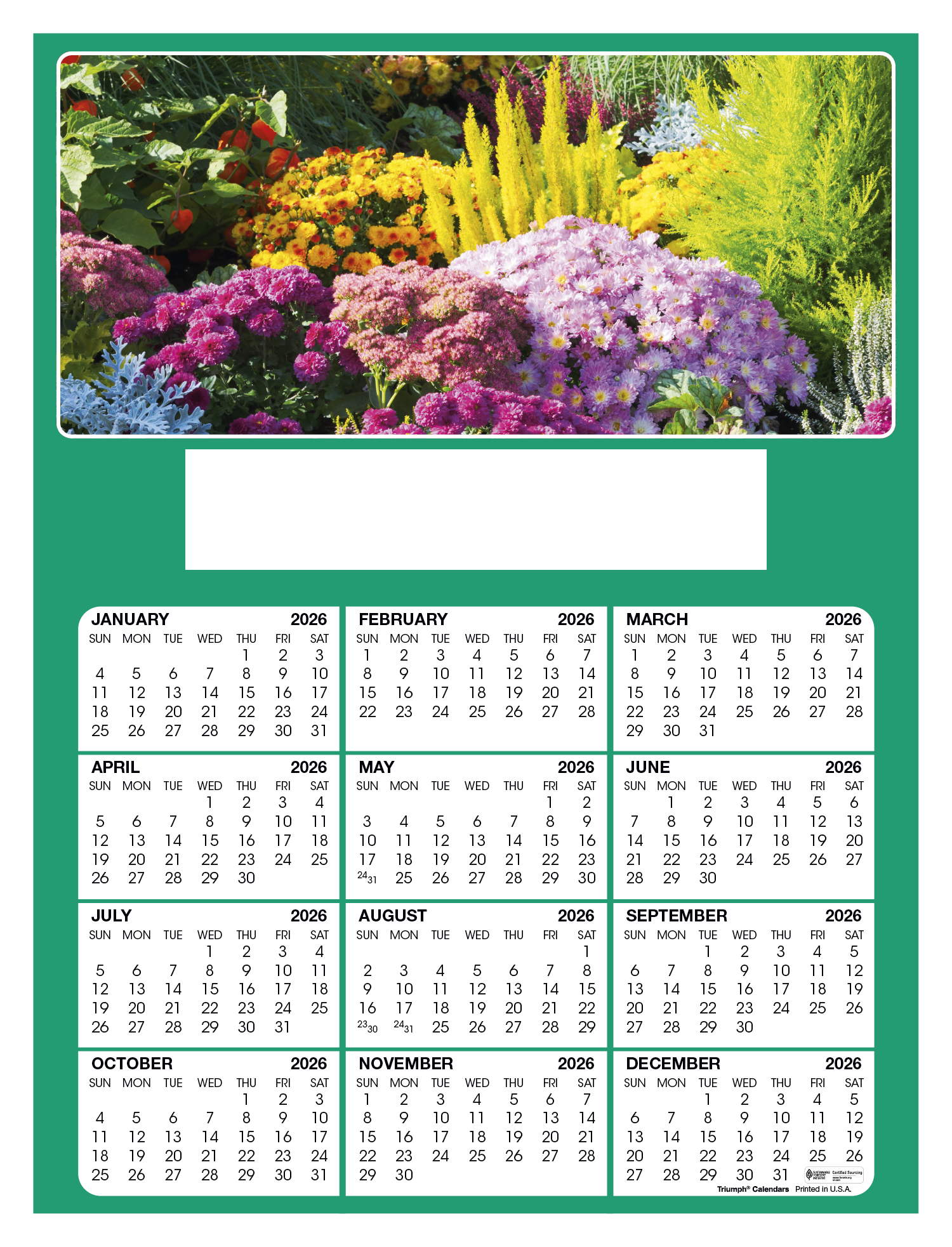 Skinner & Kennedy® Display-A-Year 10