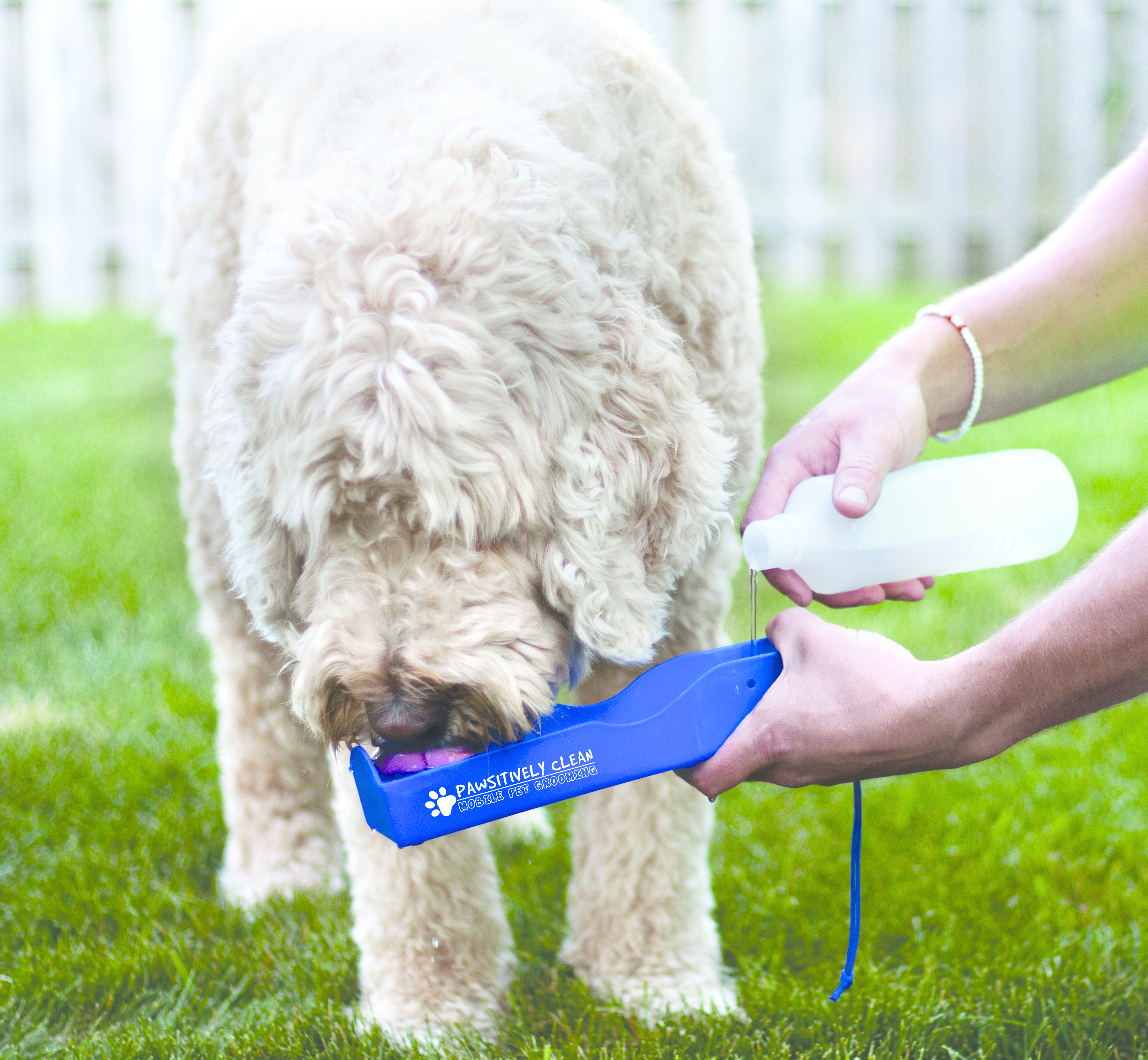 Travel Pet Water Dispenser 4