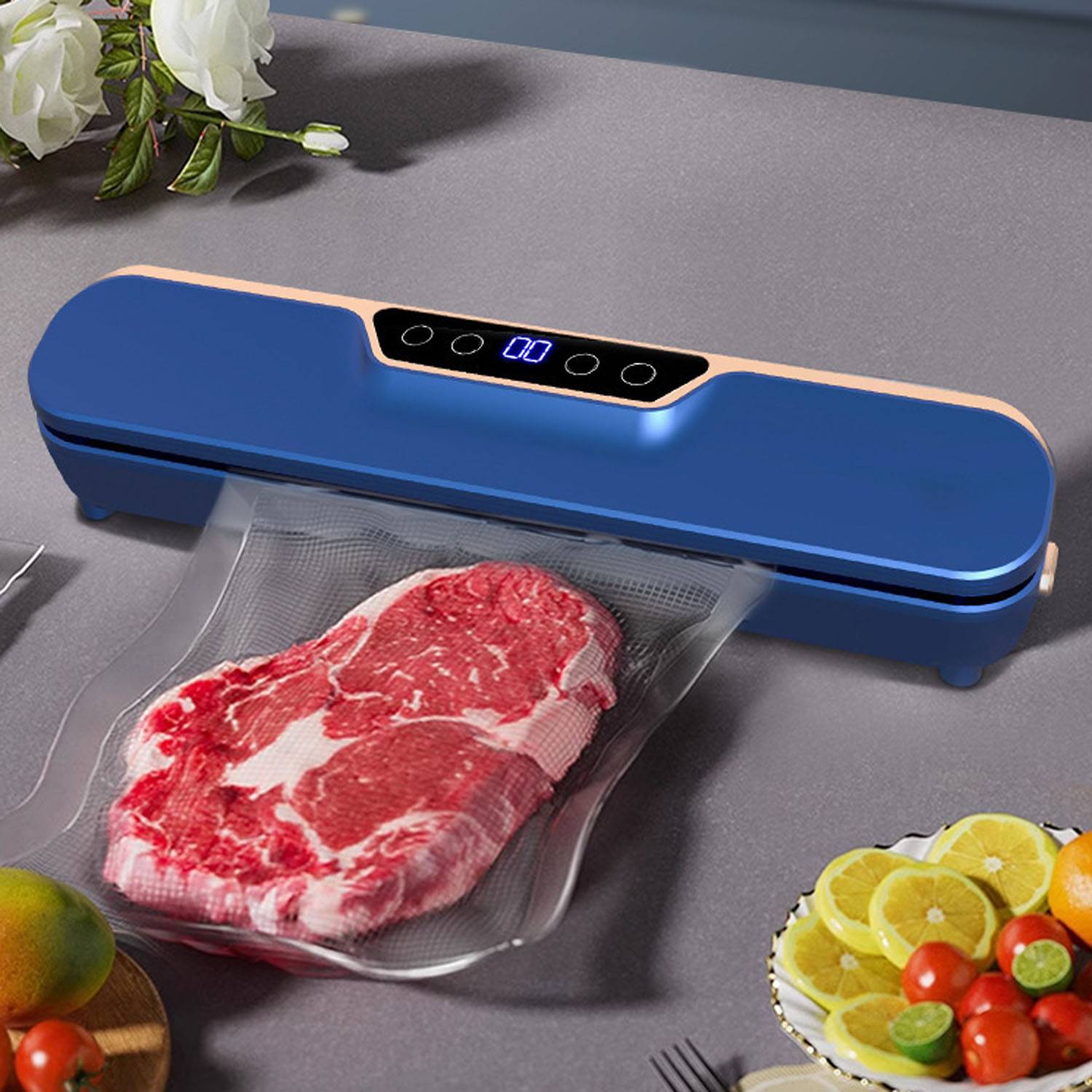 Vacuum Sealer Machine 4