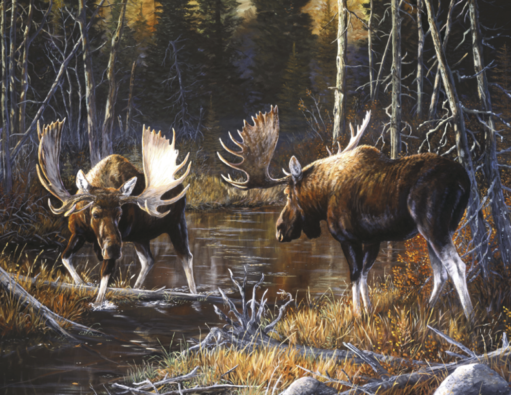 Good Value™ Wildlife Canvas - Stapled Calendar 69