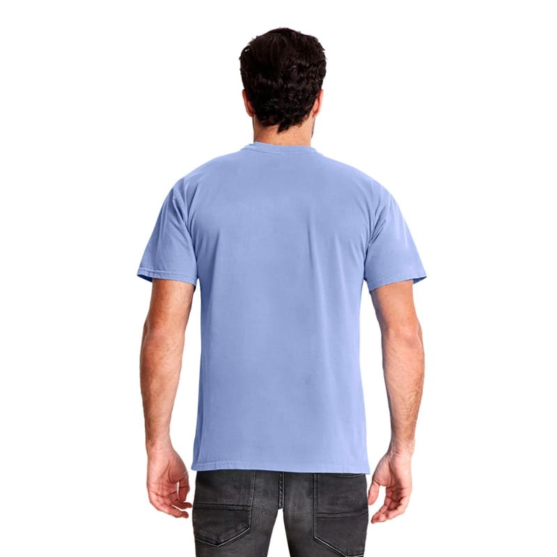 Next Level Apparel Adult Inspired Dye Crew 2