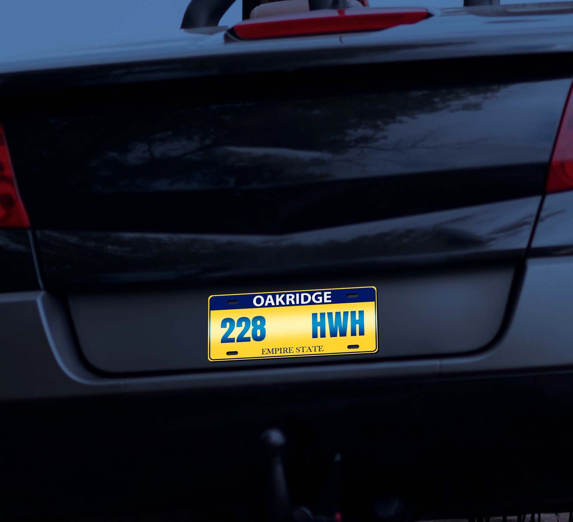 Reflective Custom License Plates 9