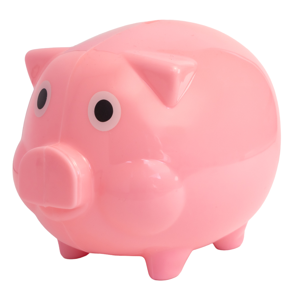 Pig Coin Bank 7