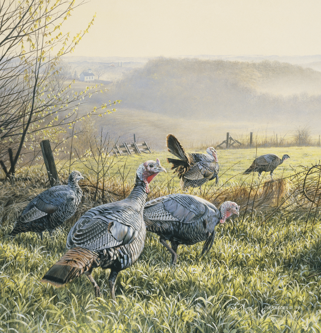 Triumph® Calendars Wildlife Art Calendar 18