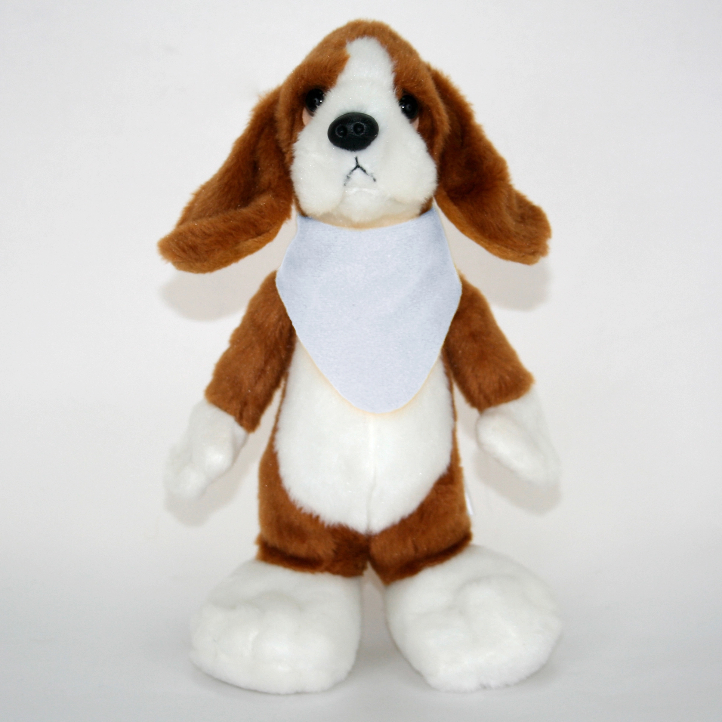 10" Long Body Beagle 4
