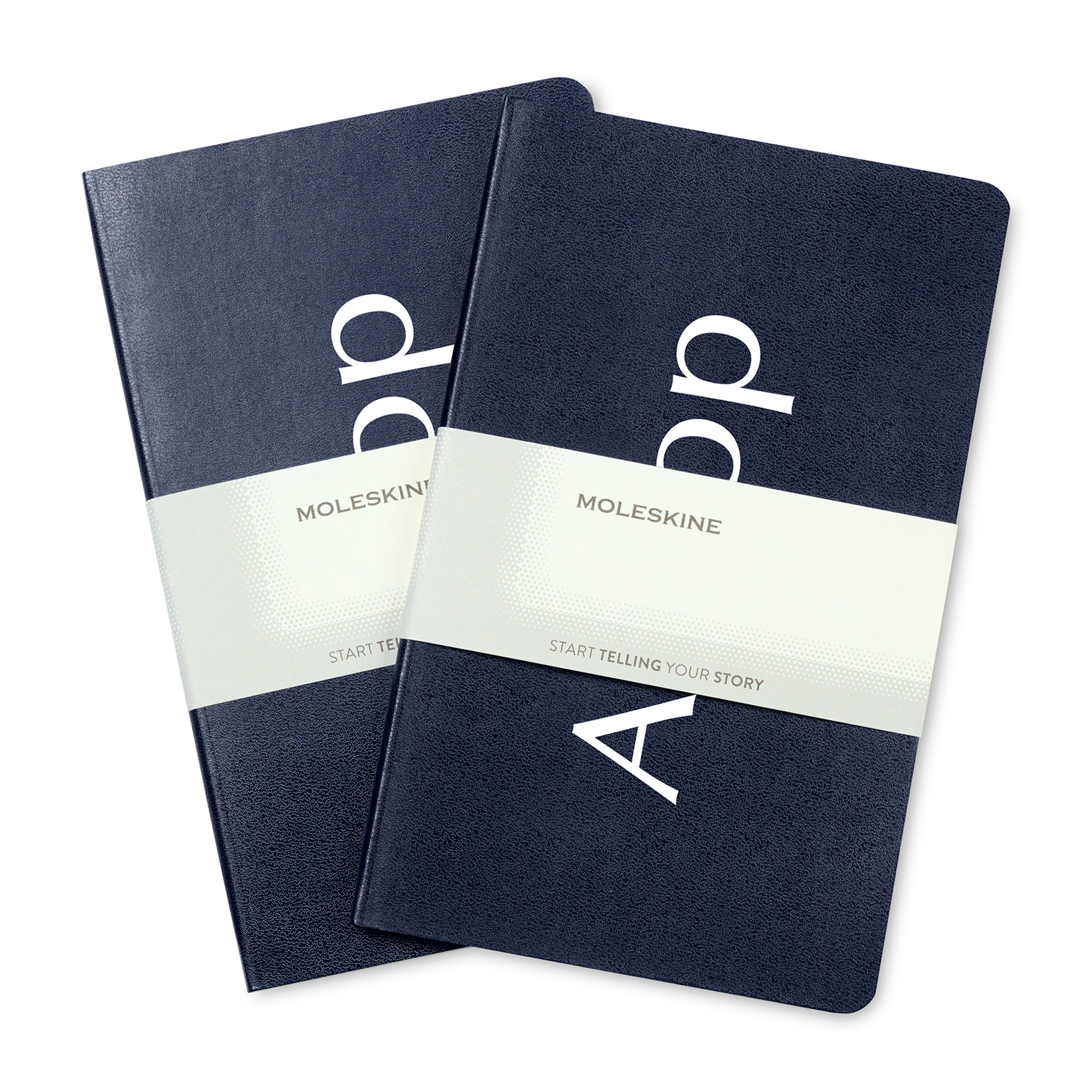 Moleskine® Large Volant 2-Pack 2
