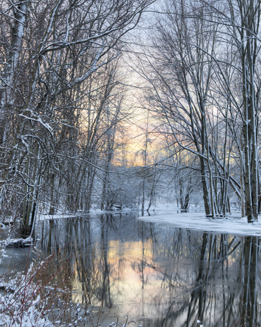 Triumph® Calendars Scenic Desk Pad