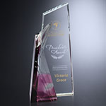 Achievement Award 6