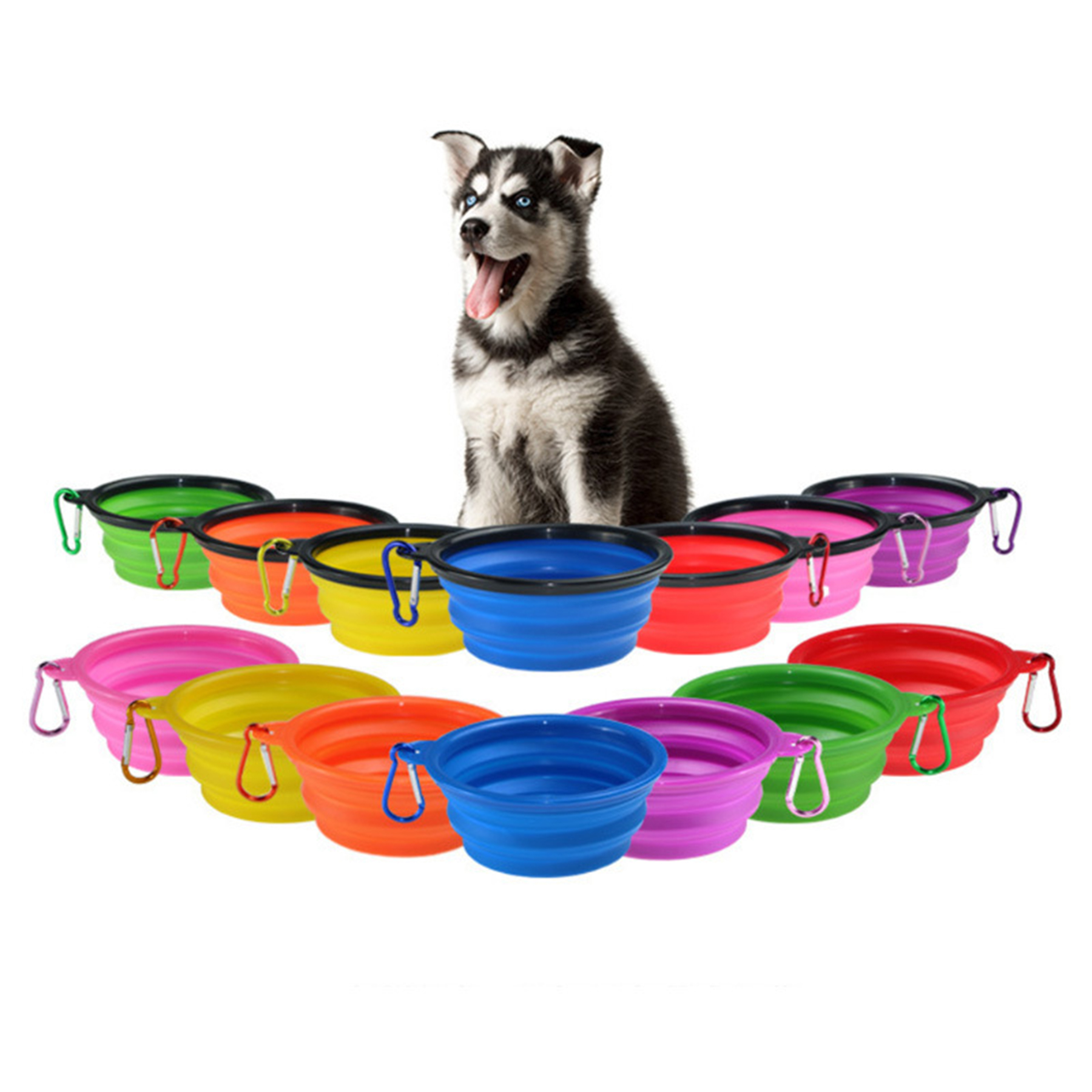 Pet Large Siza Collapsible Bowl 3