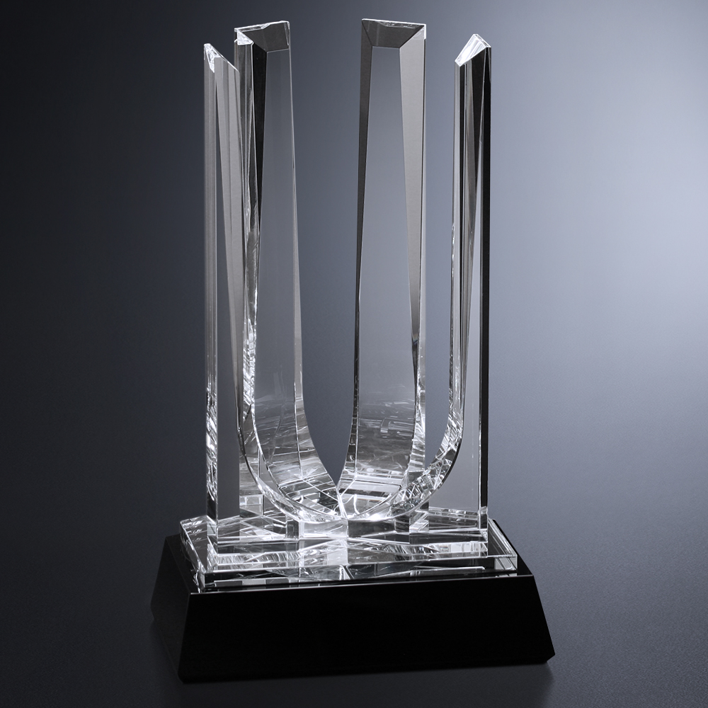 Interlachen Award 5