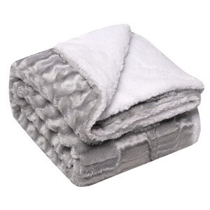Double Flannel Lamb Wool Blanket 11