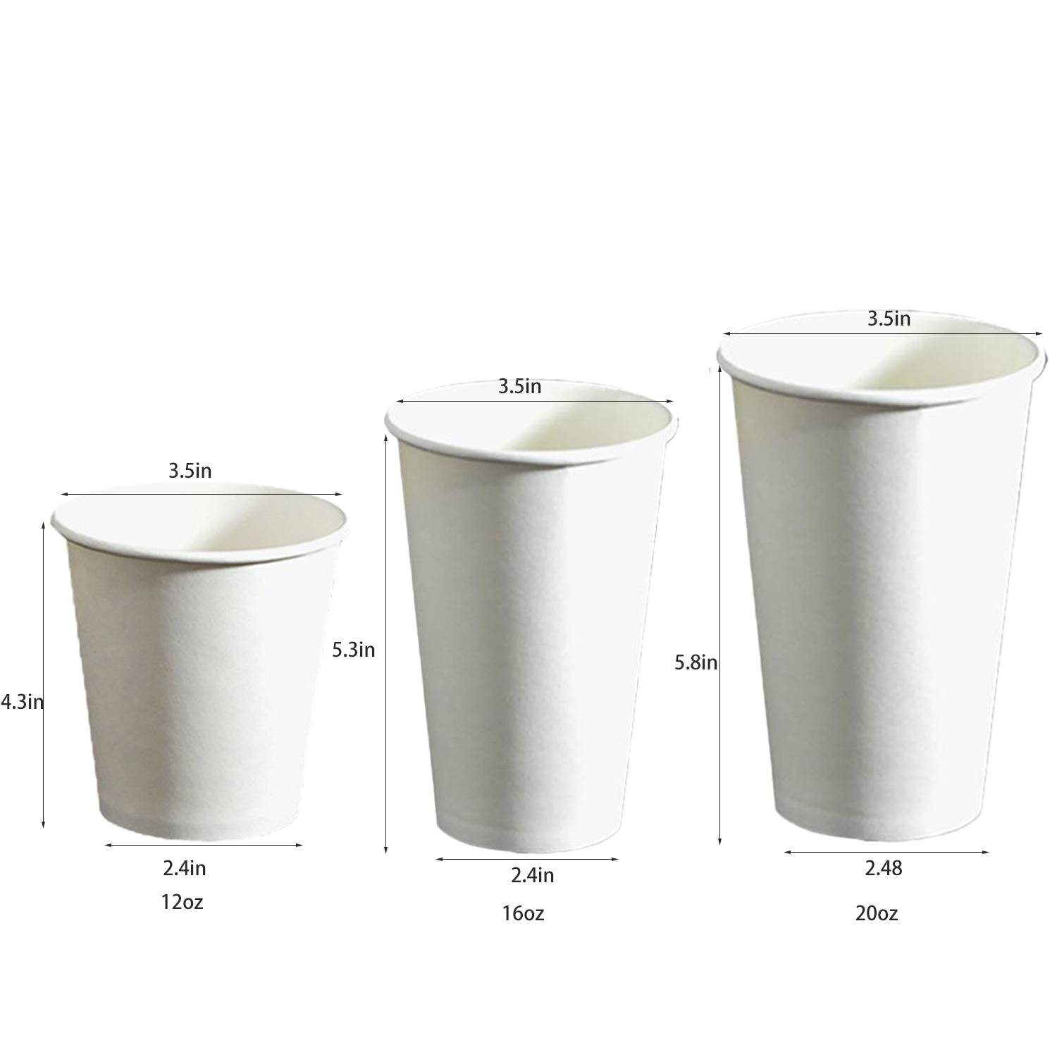 12/16/20oz Disposable Paper Cup with Lid 6