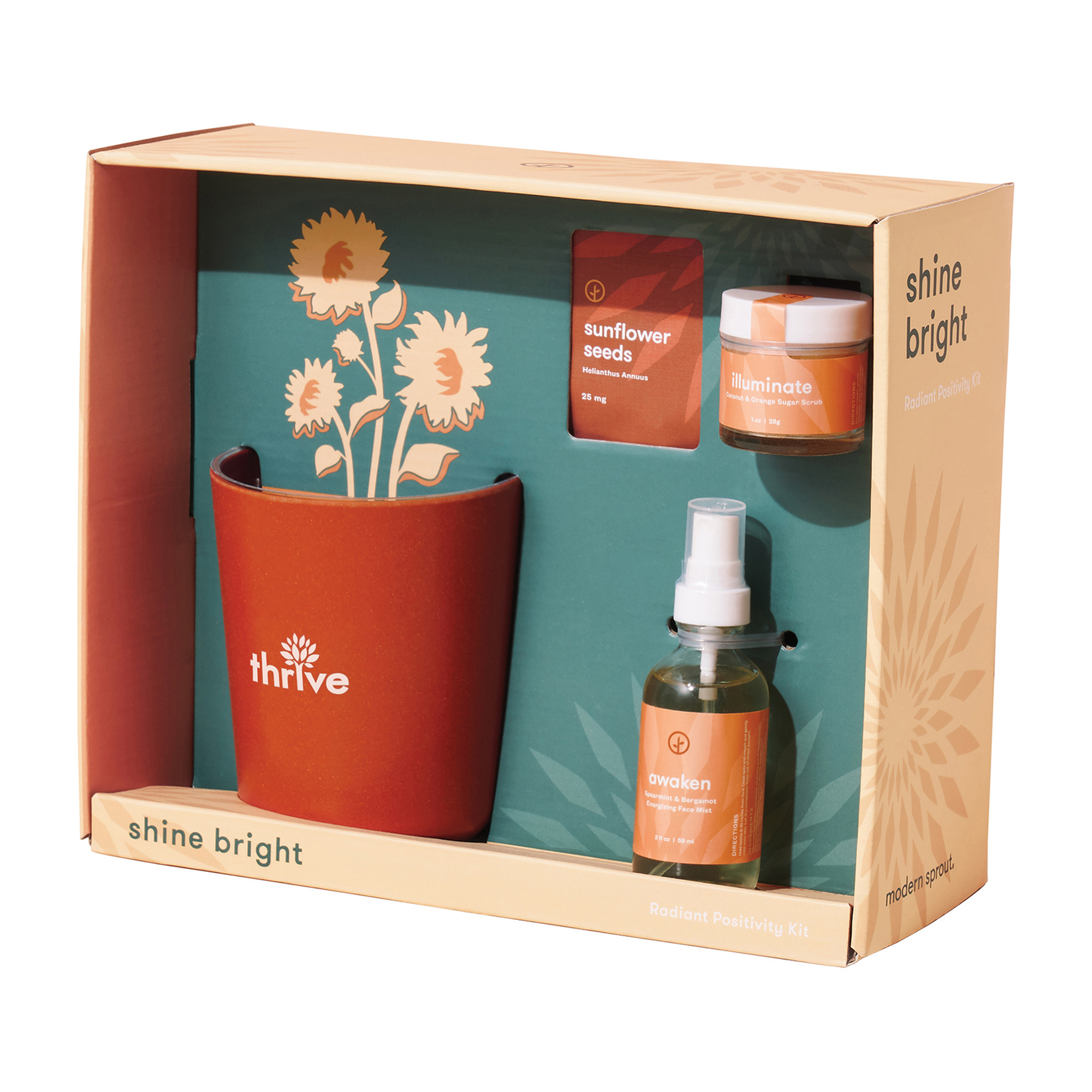 Modern Sprout® Shine Bright Take Care Kit - Sunflower 9