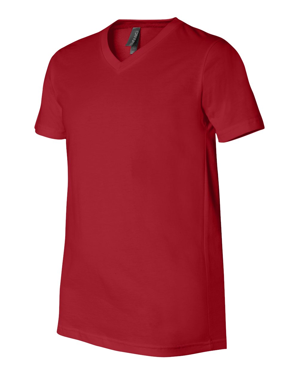 Unisex Jersey V-Neck Tee - 3005 5