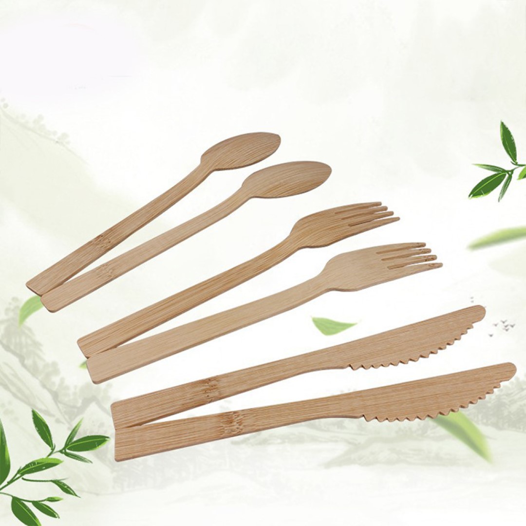 Disposable Tableware Wood 3