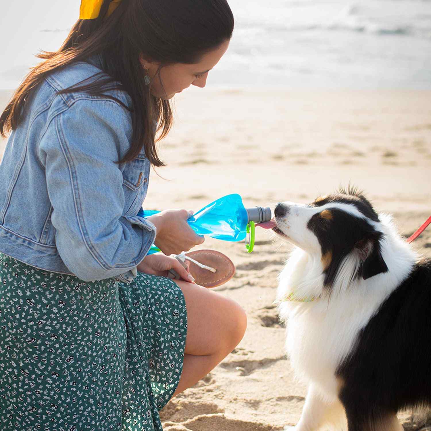 Ez Lick Portable Dog Water Bottle