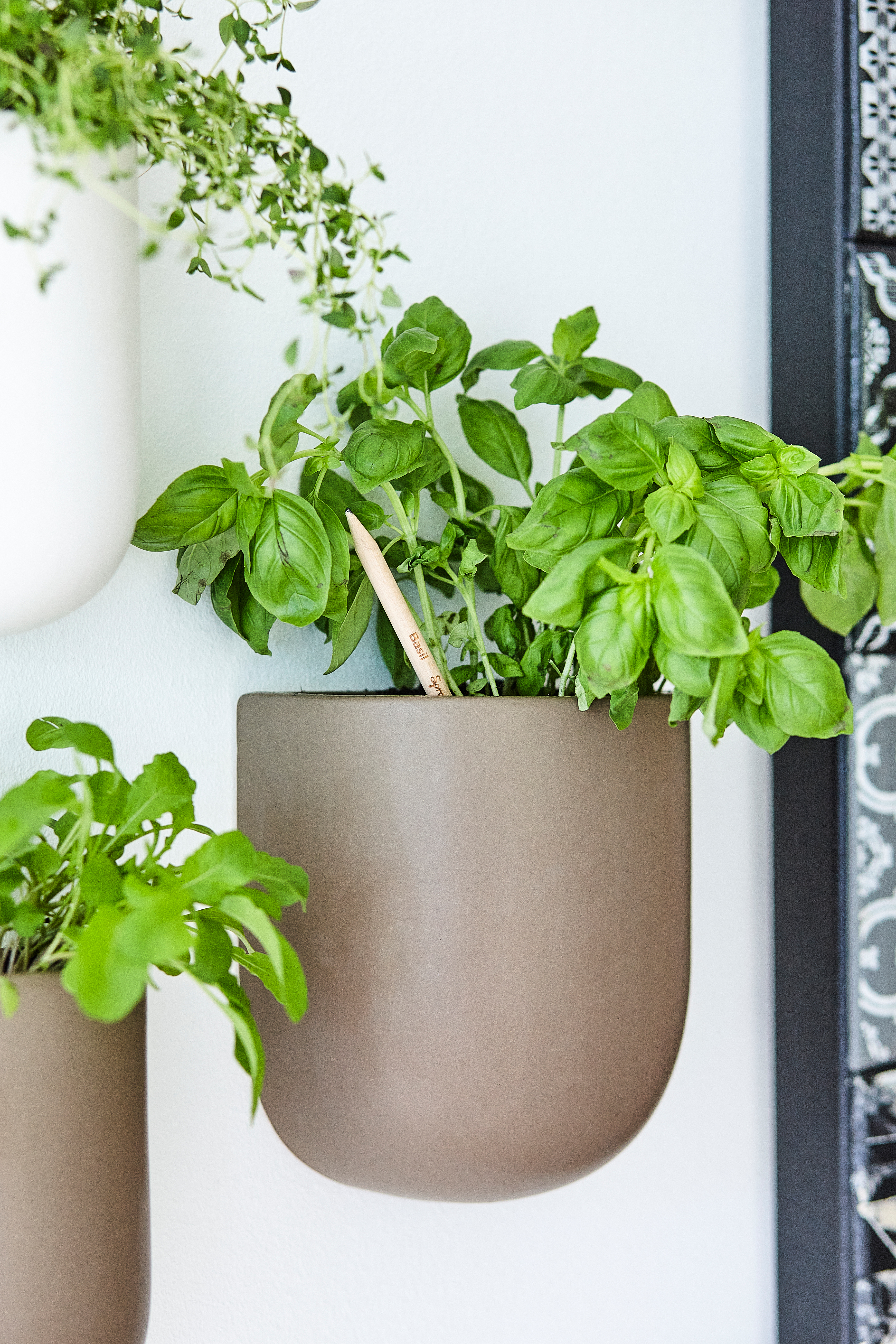 SproutWorld™ Pencil 85