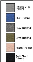 BELLA+CANVAS Toddler Triblend Short Sleeve Tee BC3413T 19