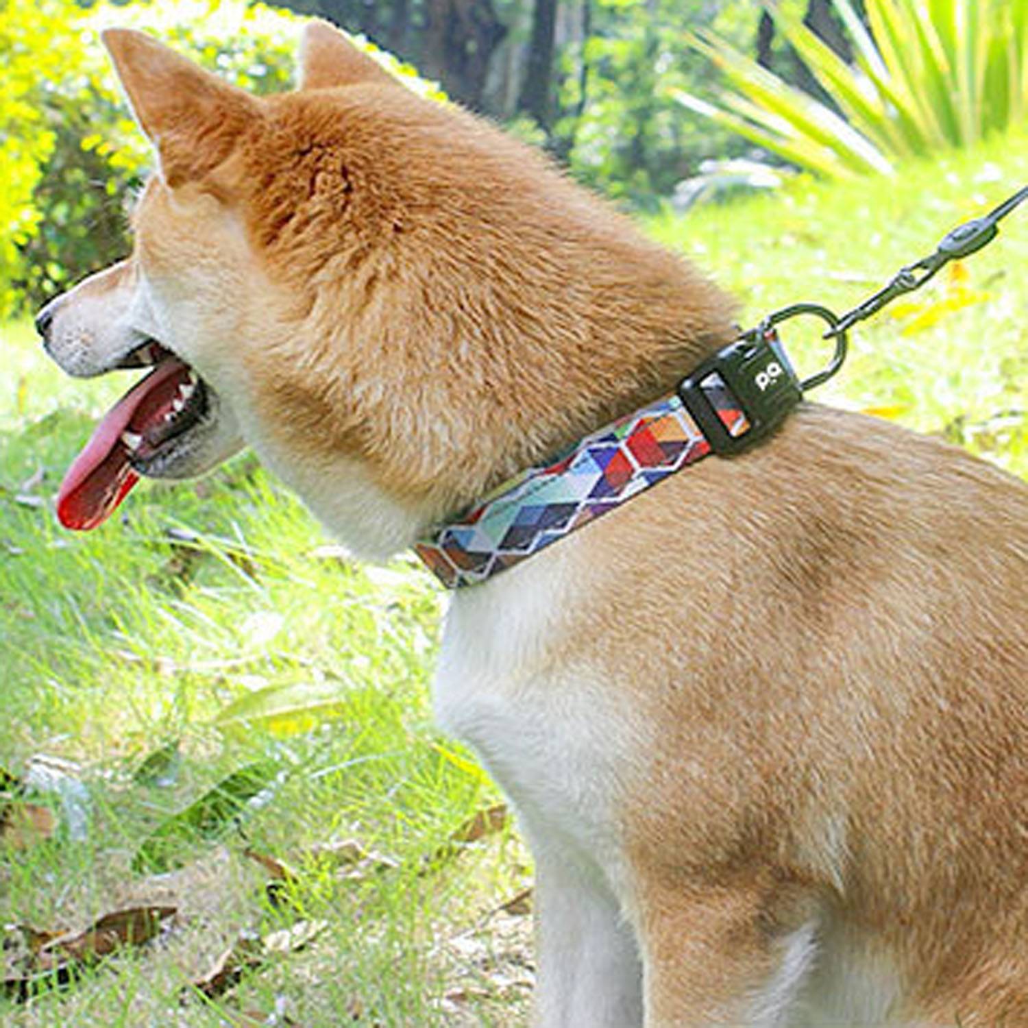 Dog Reflective Walking Leash Collar Set 5