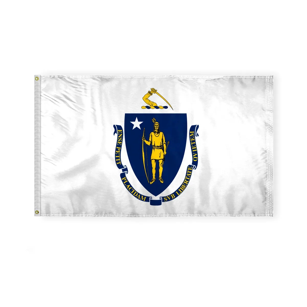 12"x18" to 8'x12' Massachusetts Nylon Flags 3