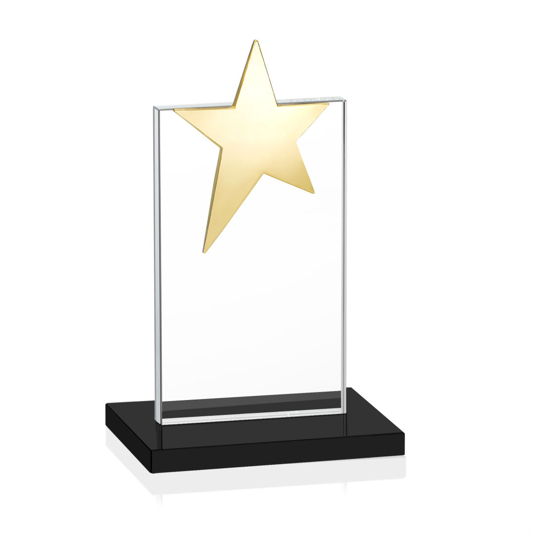 Bryanston Gold Star Award - Black 5