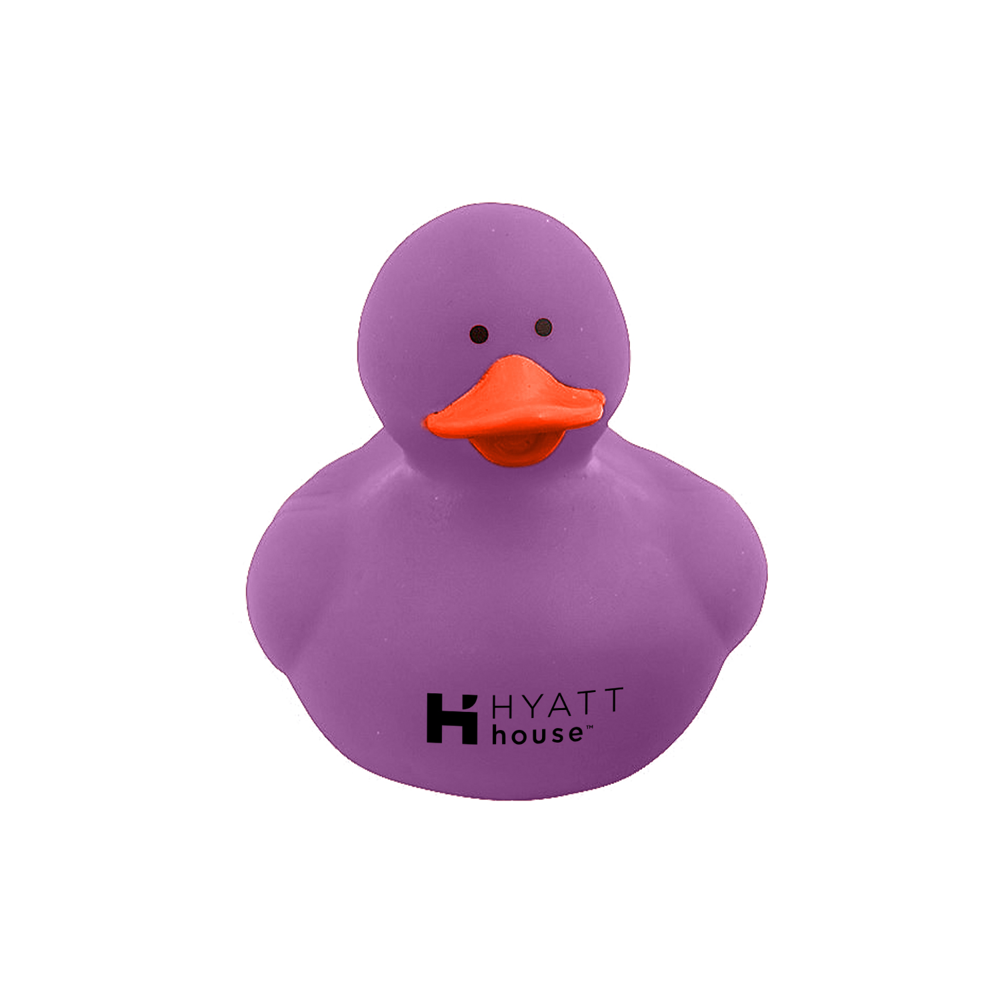 Colorful Duck 7