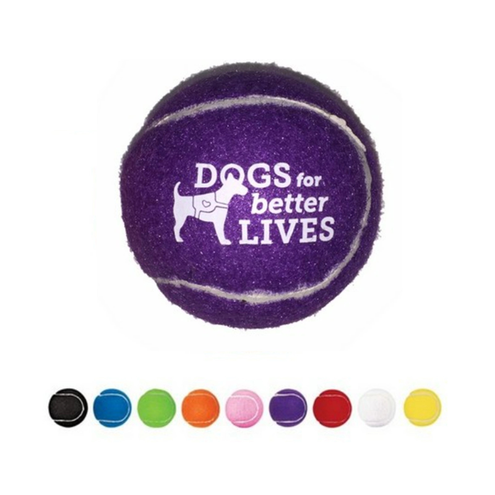 Pet Training Fetch Ball 2