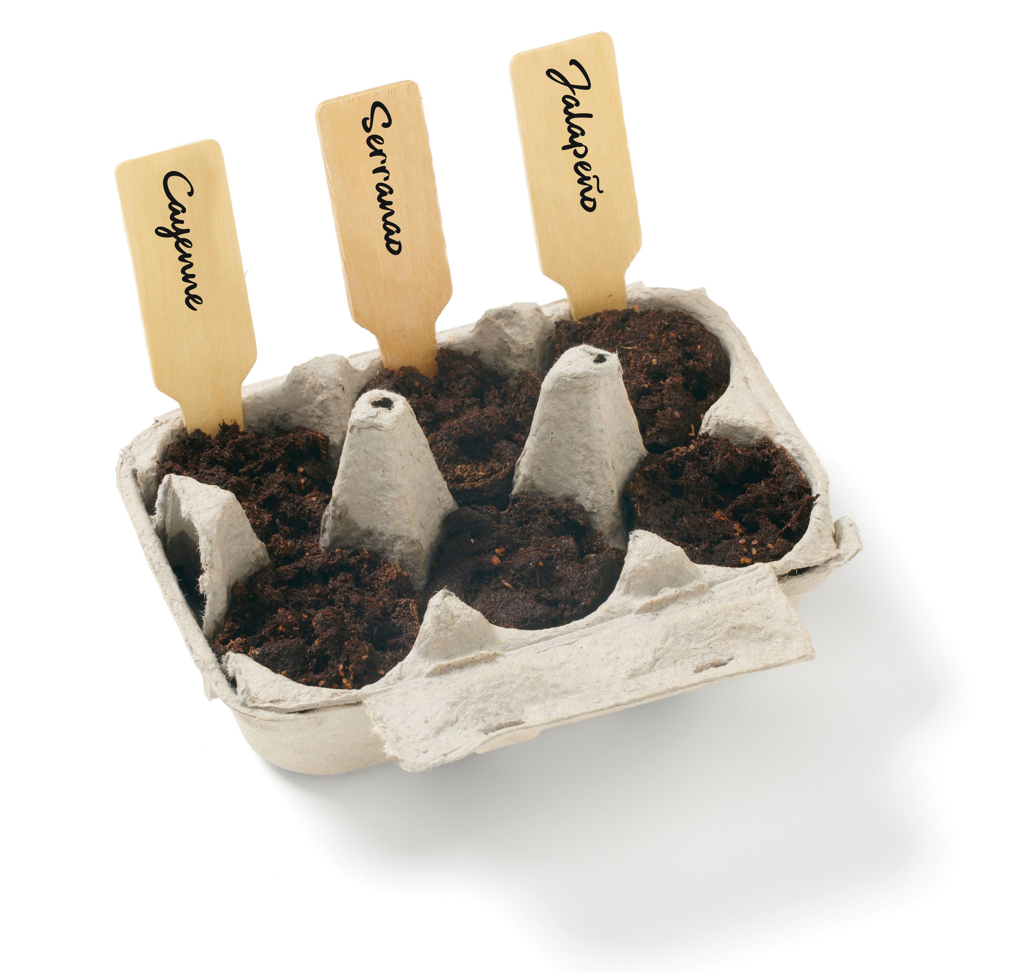 Grow Your Own Garden Kit-Peppers w/Seeds 2
