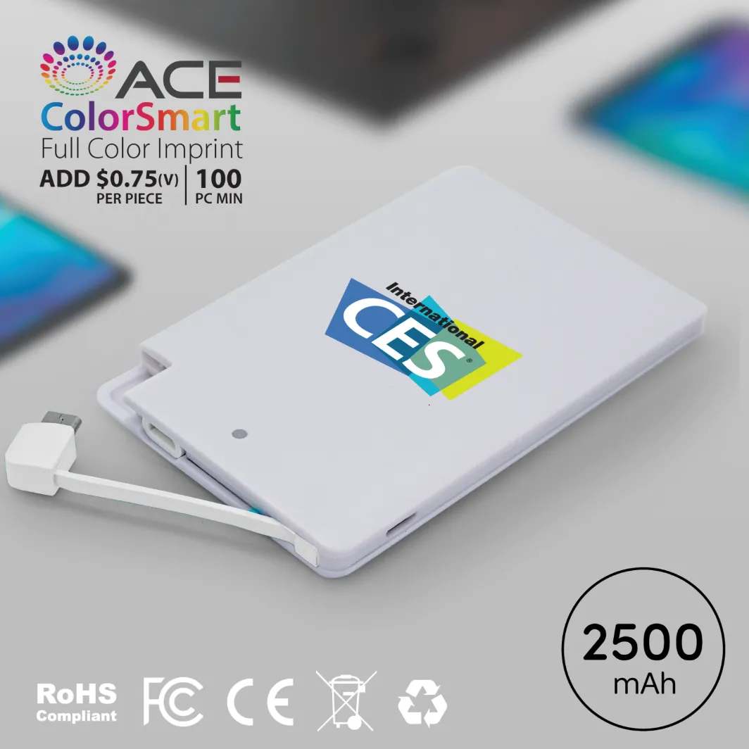 Emory - 2500 mAh SLIM PORTABLE POWER BANK WITH CABLE 1