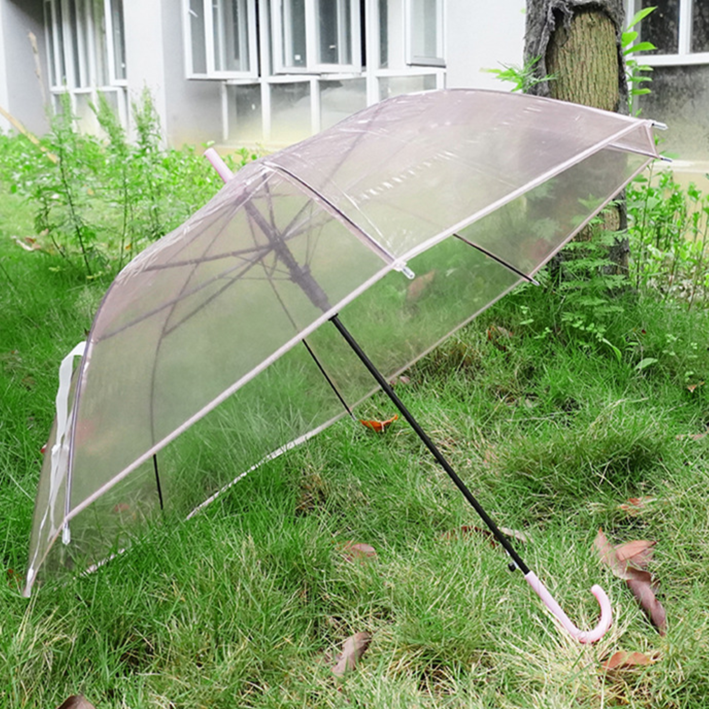 Pvc Creative Transparent Colored Umbrella 5
