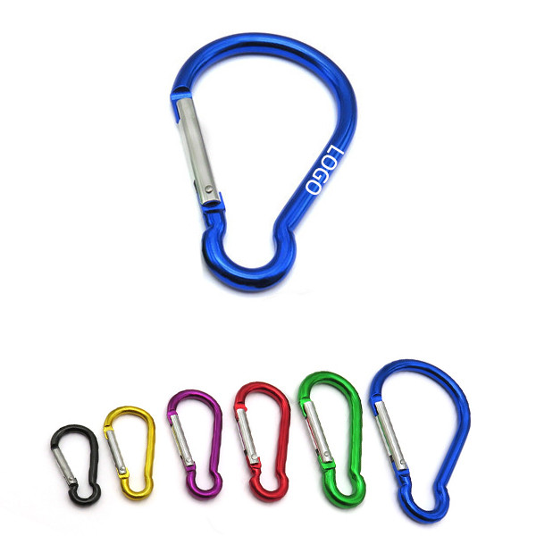8# Carabiner Key Chain 1
