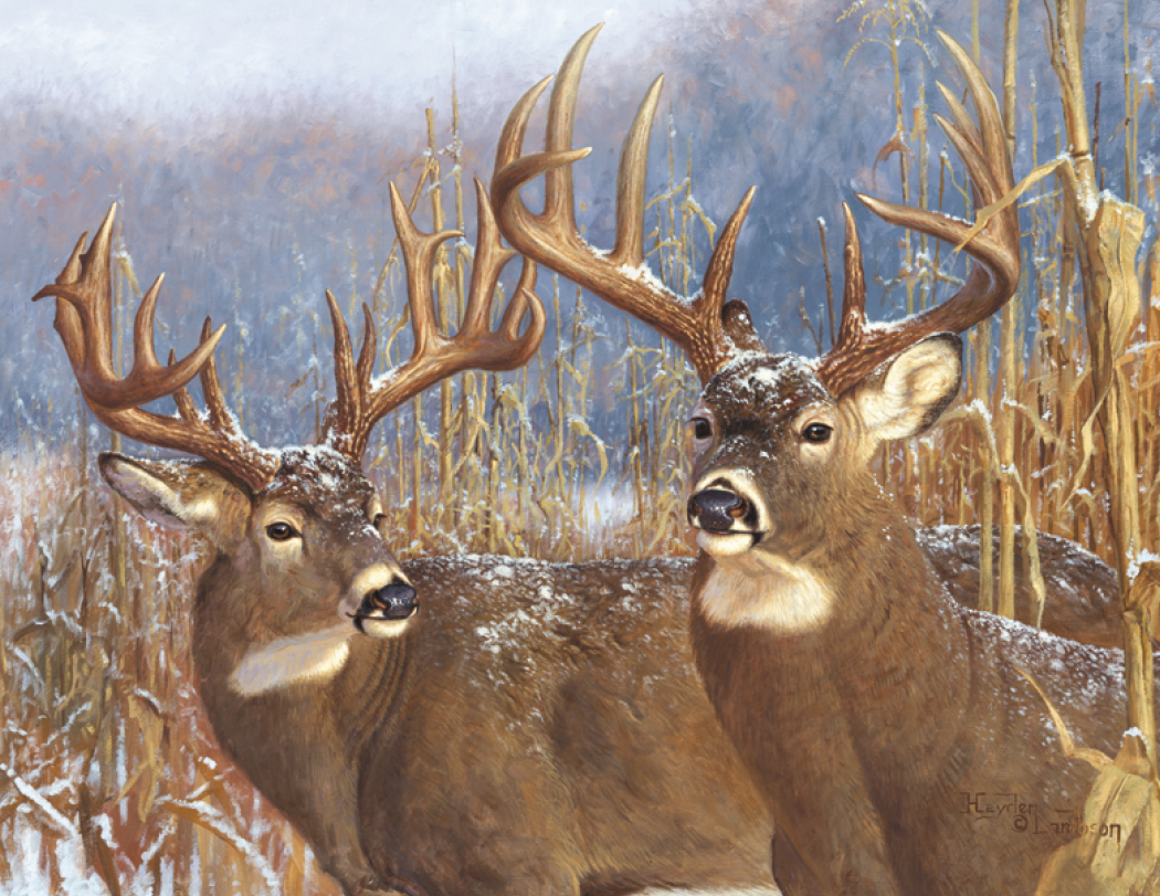 Good Value™ Wildlife Canvas - Stapled Calendar 35