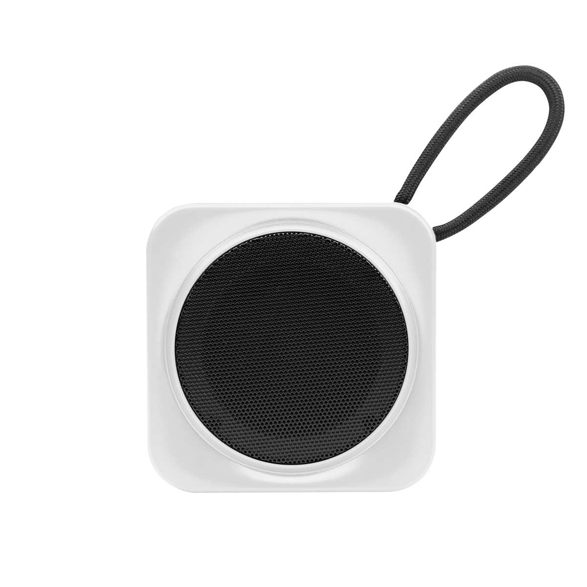 RABS Speaker 11