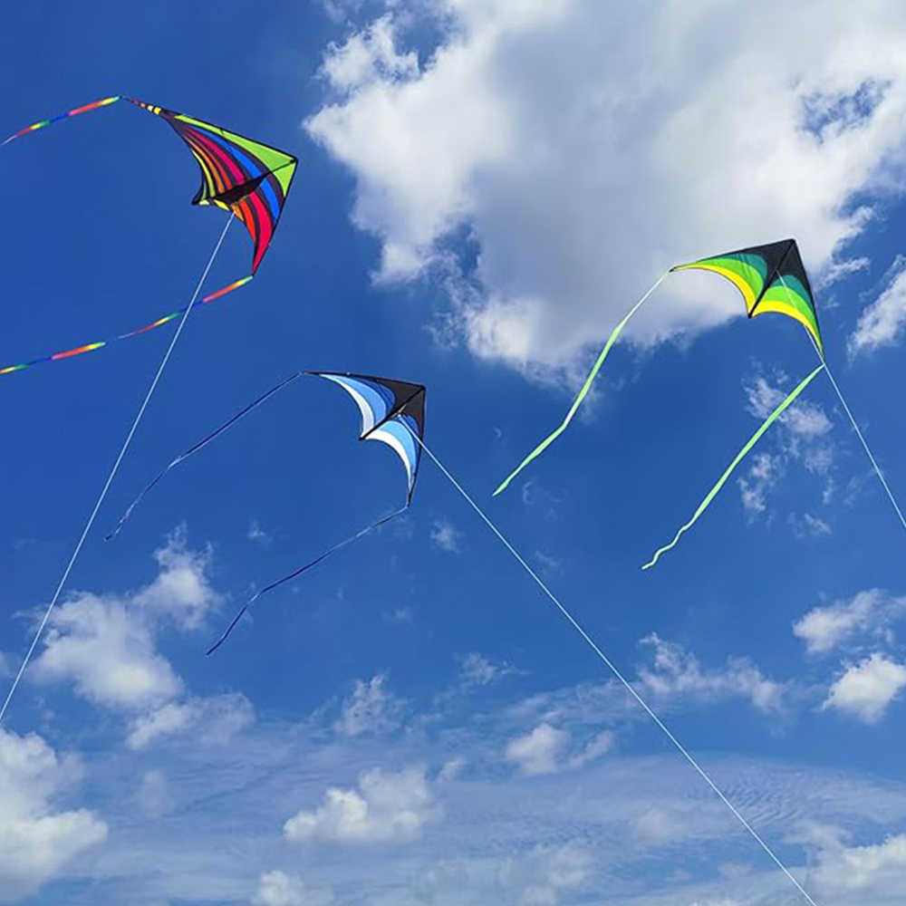 Floating Tail Rainbow kite 4