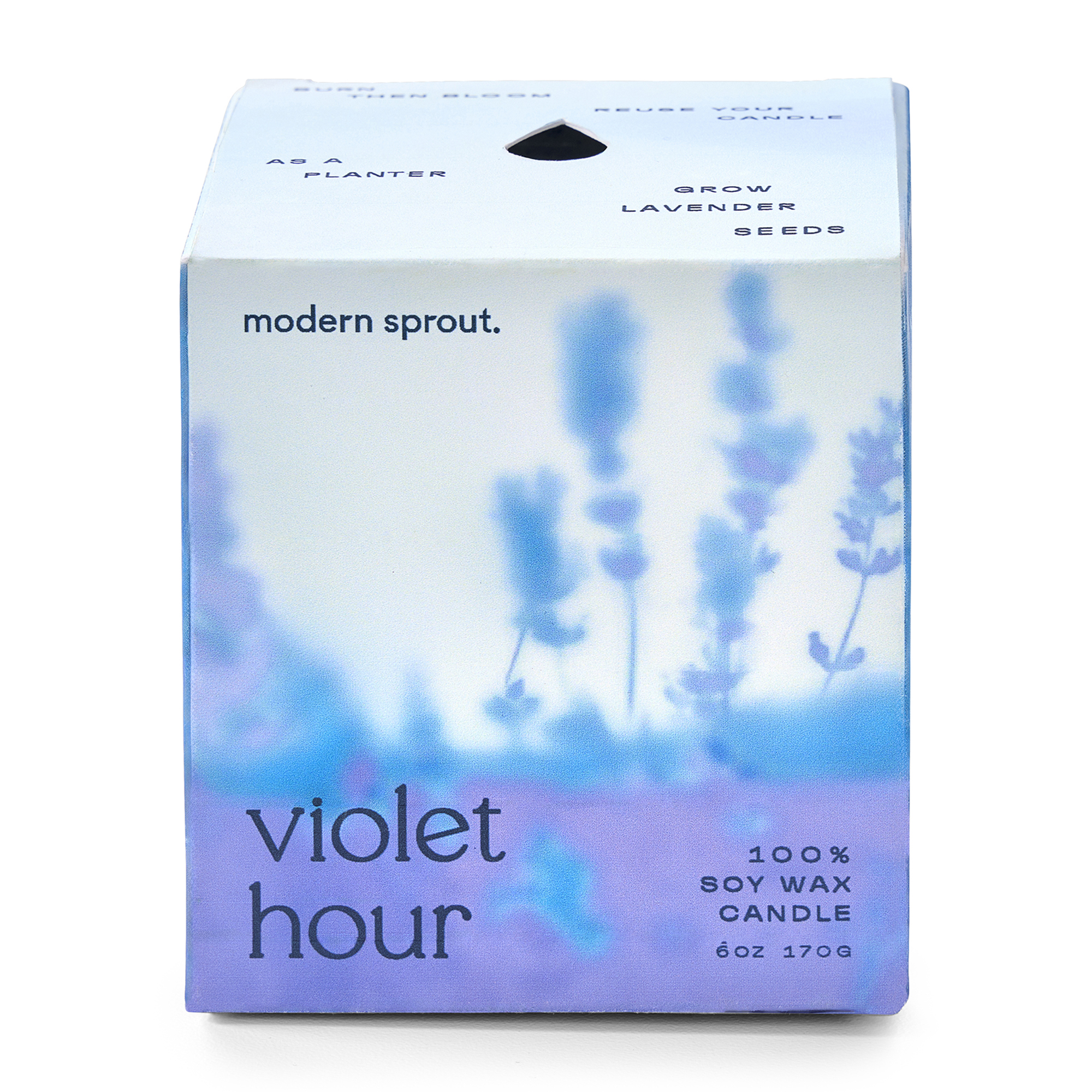 Modern Sprout® Garden Vibes Candle/Planter 58
