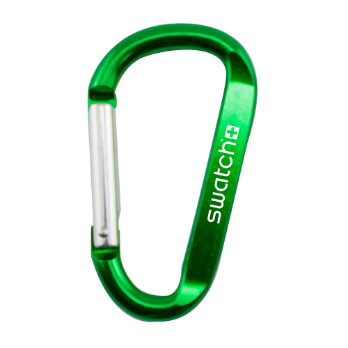 Carabiner Clip Keychain 1
