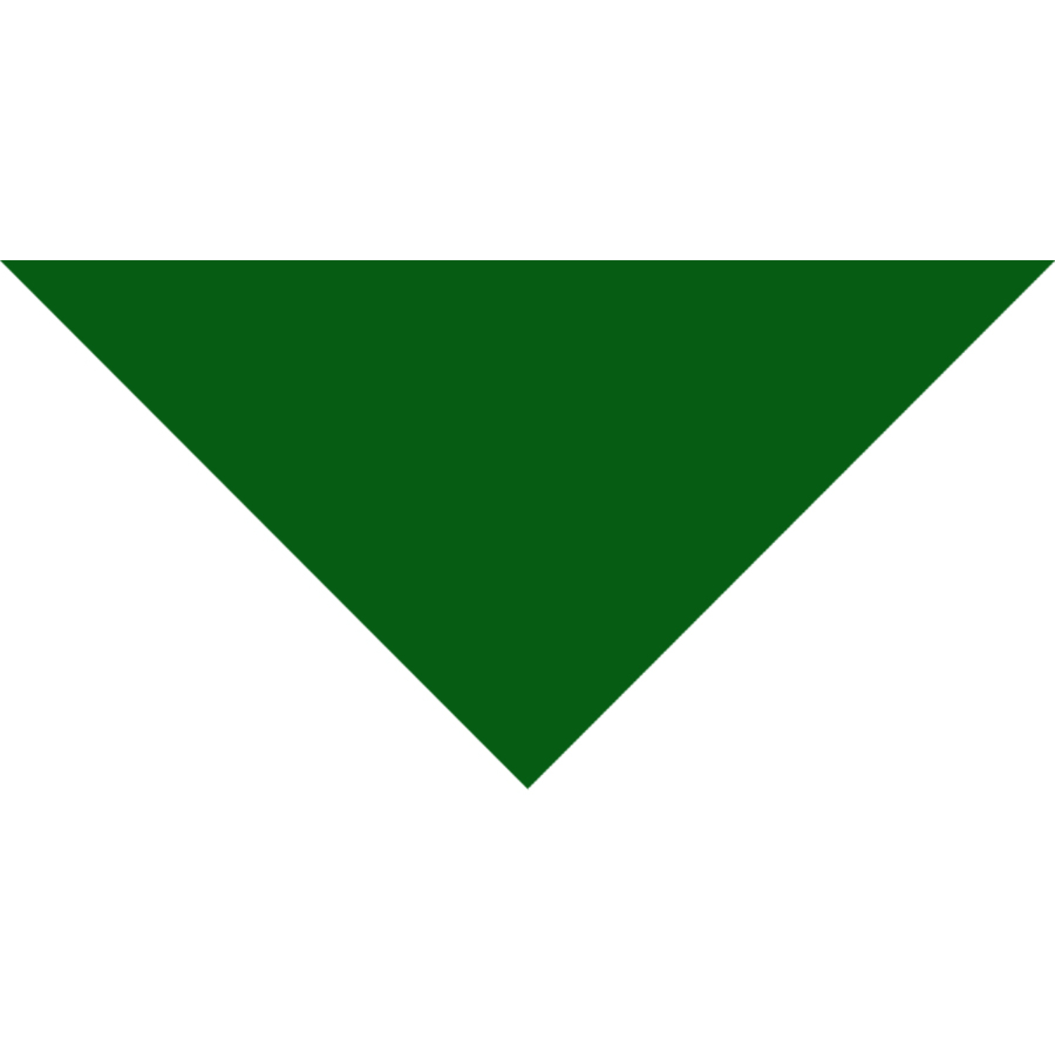 Small Triangle Pet Bandana w/ Screen Print 20