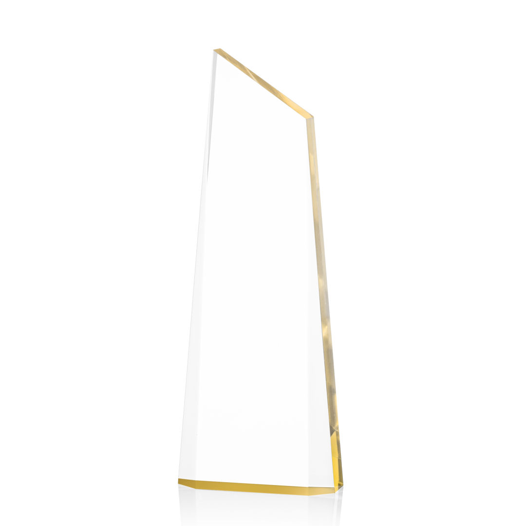 Webster Award 2