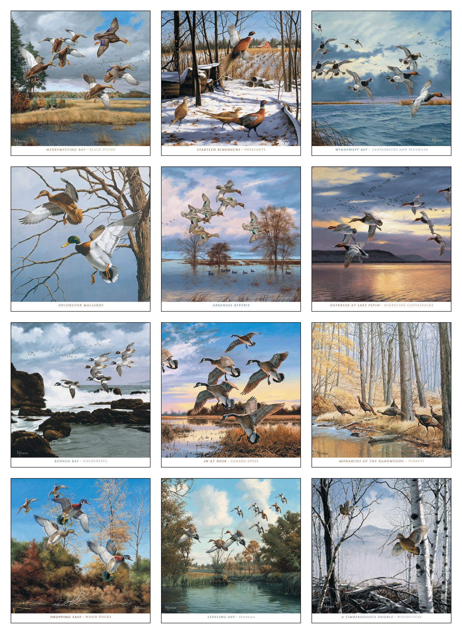 HotLine® Products David Maass Executive Calendar 34